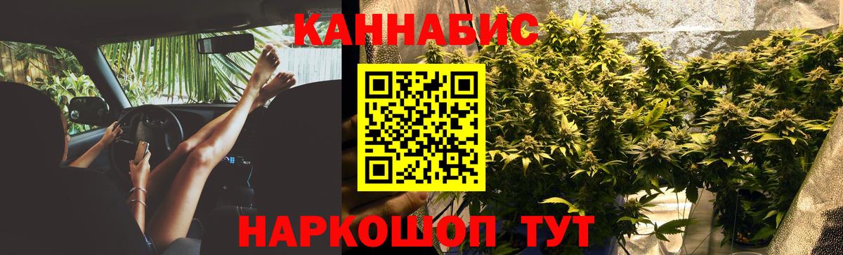 Каннабис OG Kush  Каннабис ГИДРОПОН  Конопля сатива  Вход с VPN  Губкинский 